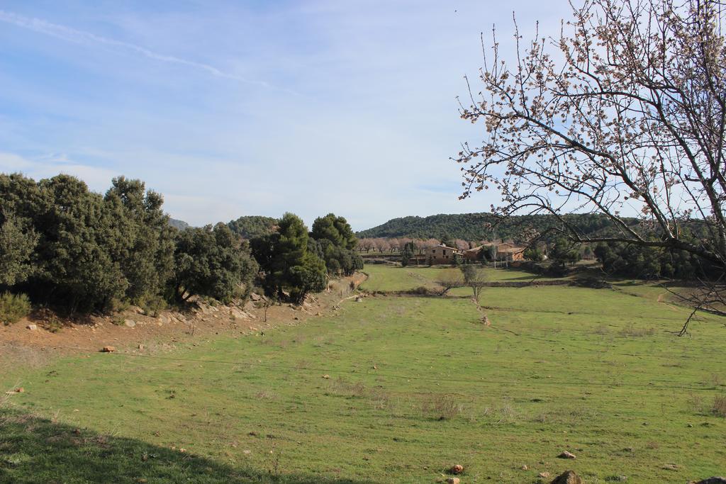 Mas De Nofre Affittacamere Peñarroya de Tastavins Esterno foto